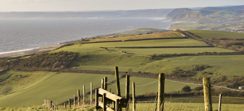 The jigsaw of our landscape