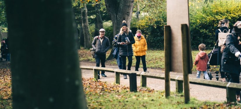 Grants to Boost Wellbeing through Nature, Art and Movement