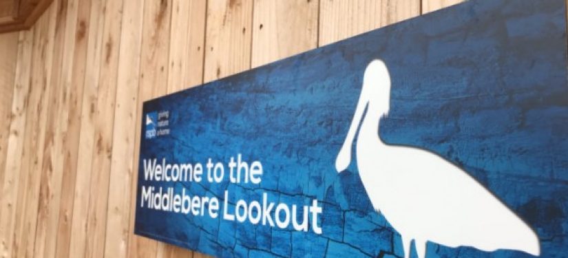 Case study: RSPB Arne Middlebere ‘Lookout’