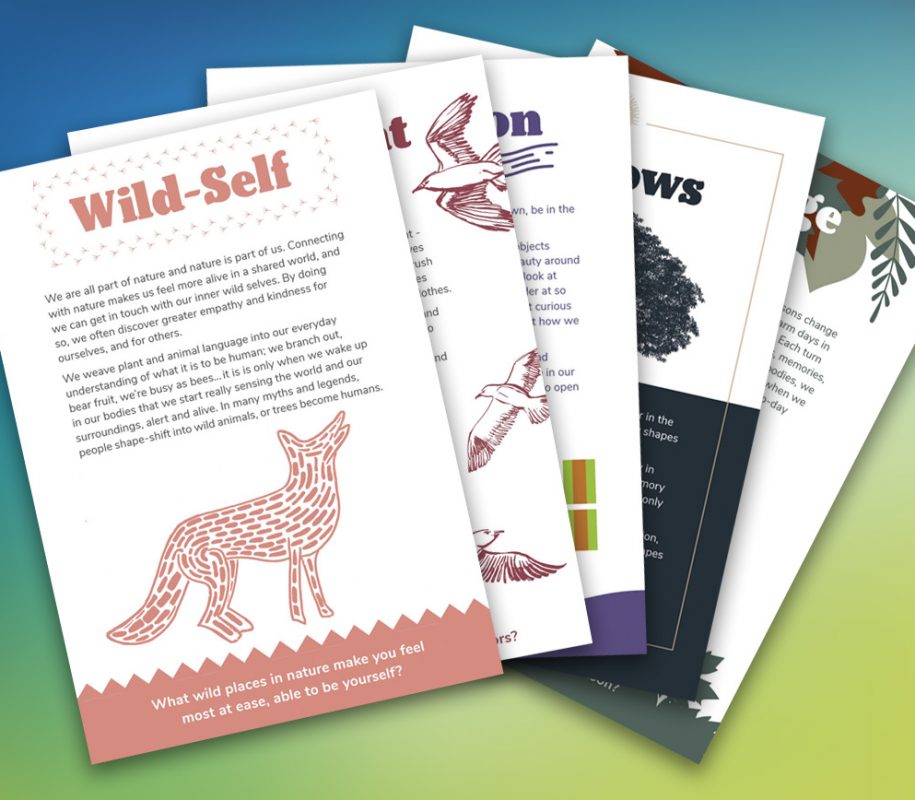 Activity Cards