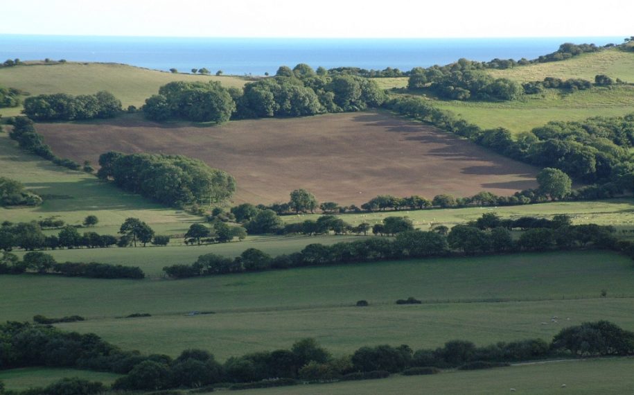 Povington Hill