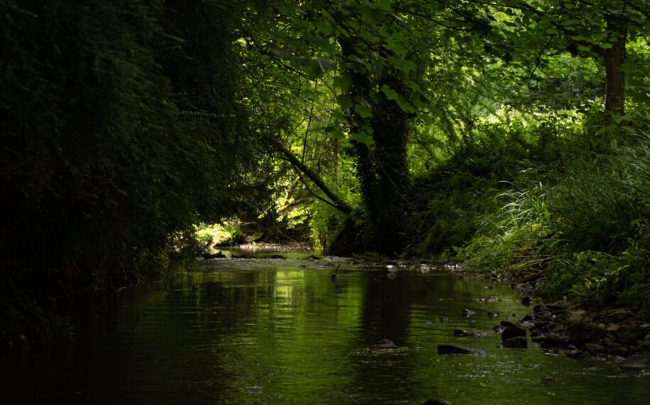 Natural Flood Management Success