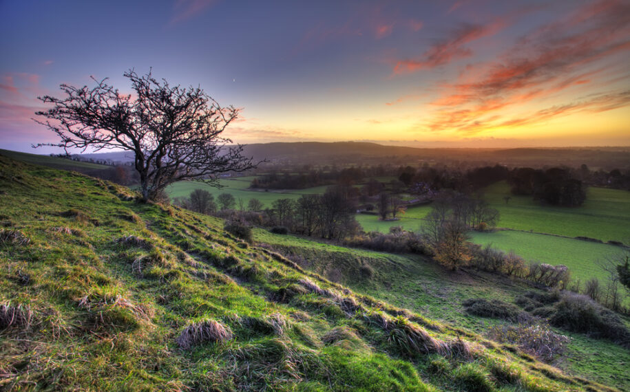 Dorset AONB Annual Forum in Blandford Forum