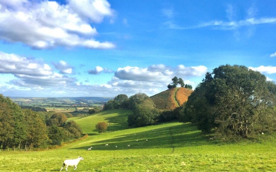 Colmer’s Hill