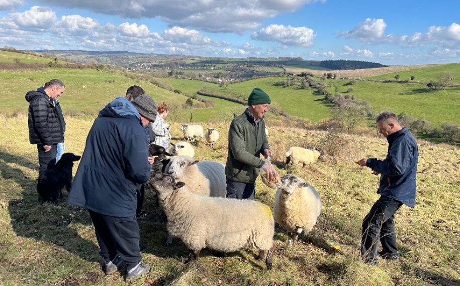 Breaking barriers: connecting people with disabilities to the countryside
