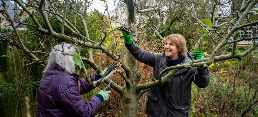 Have a Go – Gardening / Conservation  – Upton Country Park