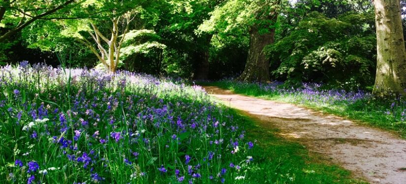 Getting Here – Upton Country Park