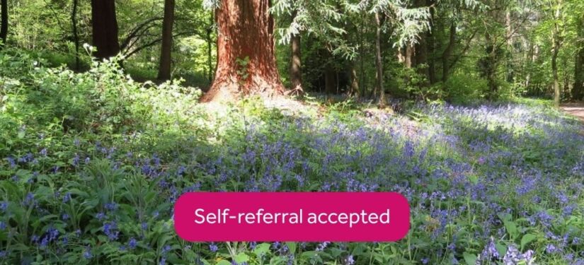 National Trust – Walk with us, Dorchester